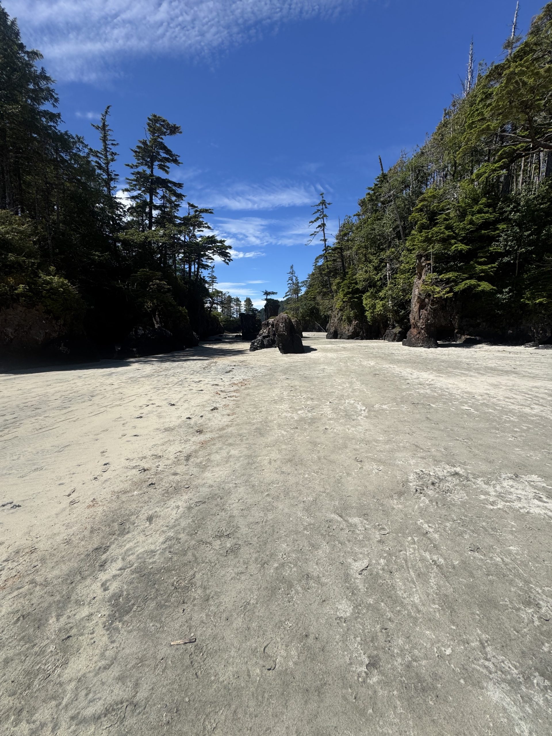 north